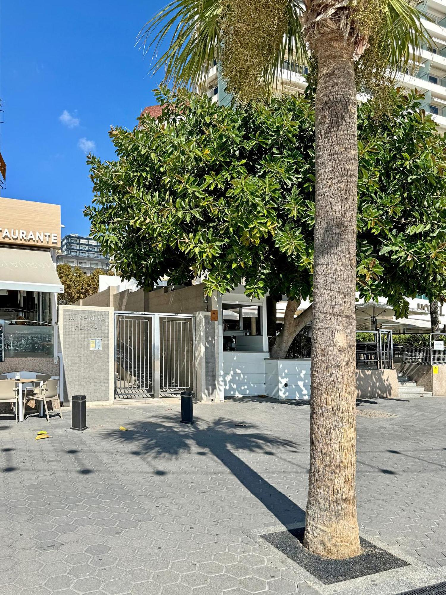 Precioso Estudio Frente La Playa Benidorm Dış mekan fotoğraf